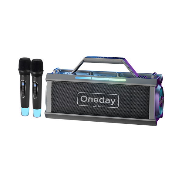 AE07 Portable KTV dual microphone  Blue tooth speaker