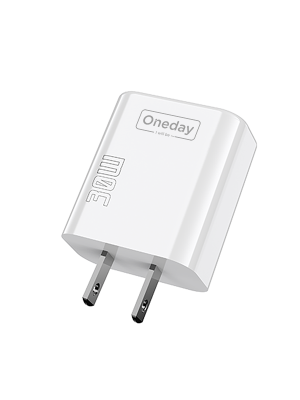 DC01 30W USB + TYPEC dual port GaN Charger US PLUG