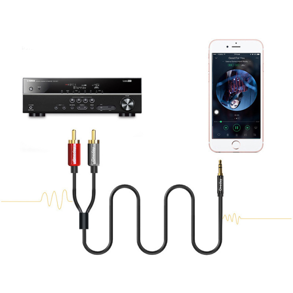 NDA10 AUX 3.5 to Double Lotus  adapter cable - 图片 4