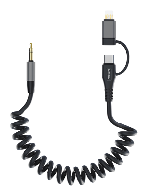 NDA24 AUX to T-ypec & IPH 2 in 1 adapter cable