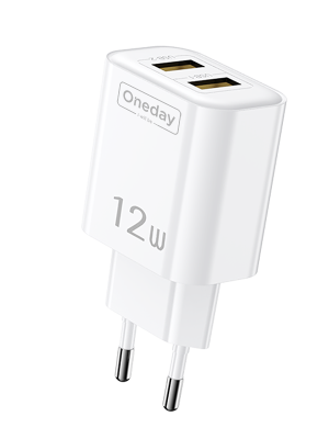 OC01 12W USB + USB dual port Charger EU PLUG