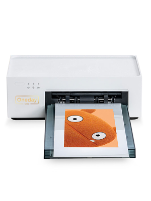 OV003 MINI Back film printer machine